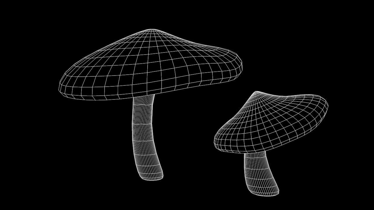 Mushrooms two 3D Model Collection_11