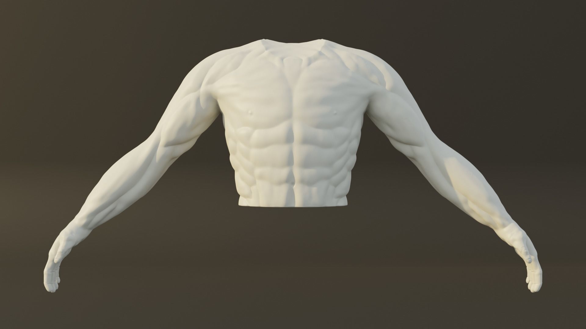 Man Torso - High Mid Low Poly Package Free 3D model_11