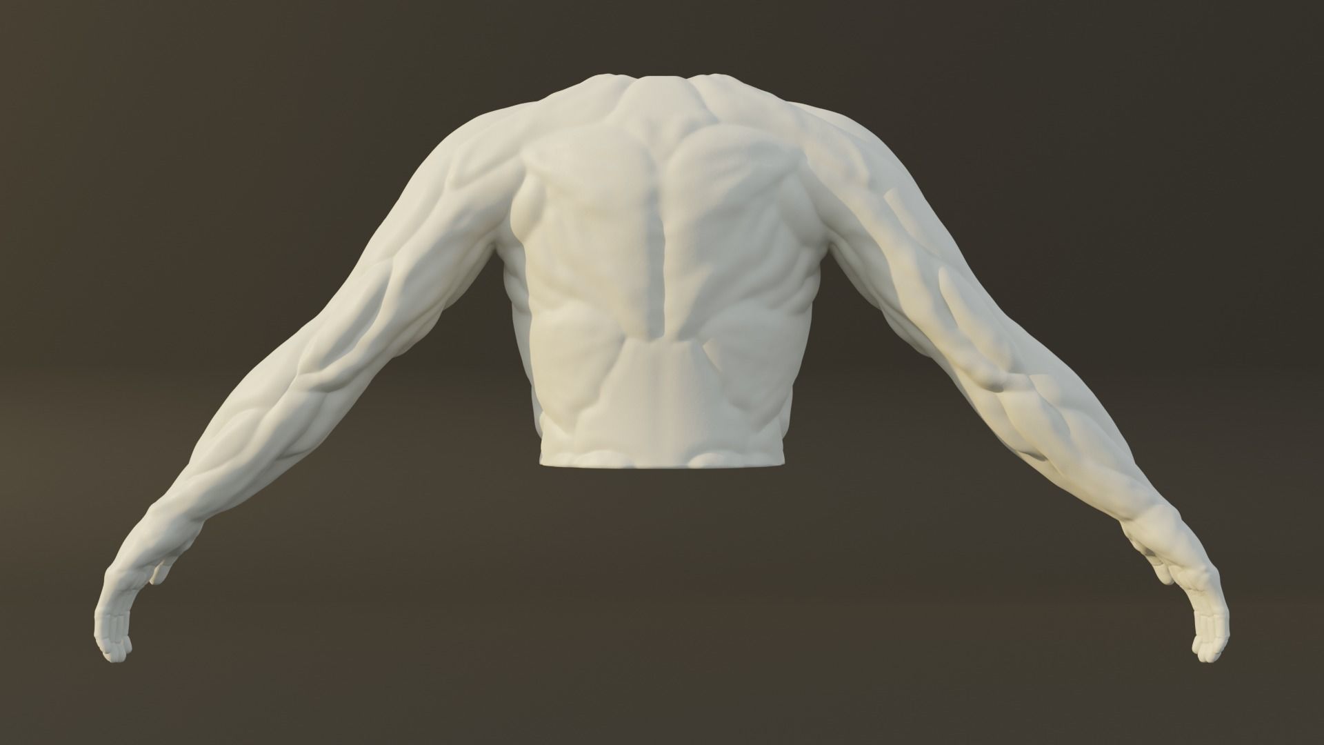 Man Torso - High Mid Low Poly Package Free 3D model_6