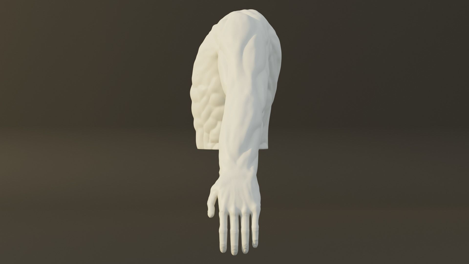 Man Torso - High Mid Low Poly Package Free 3D model_13