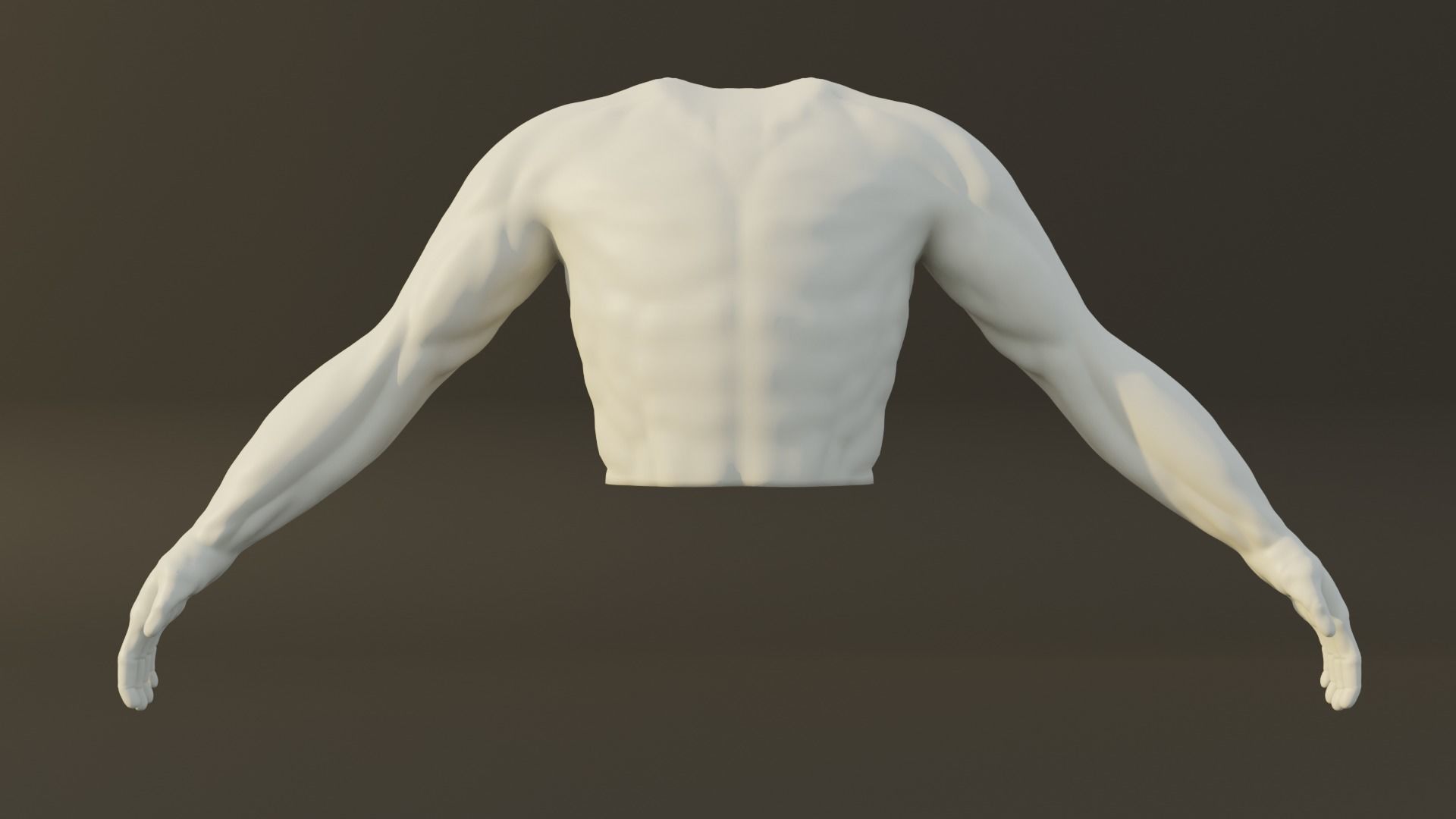 Man Torso - High Mid Low Poly Package Free 3D model_18