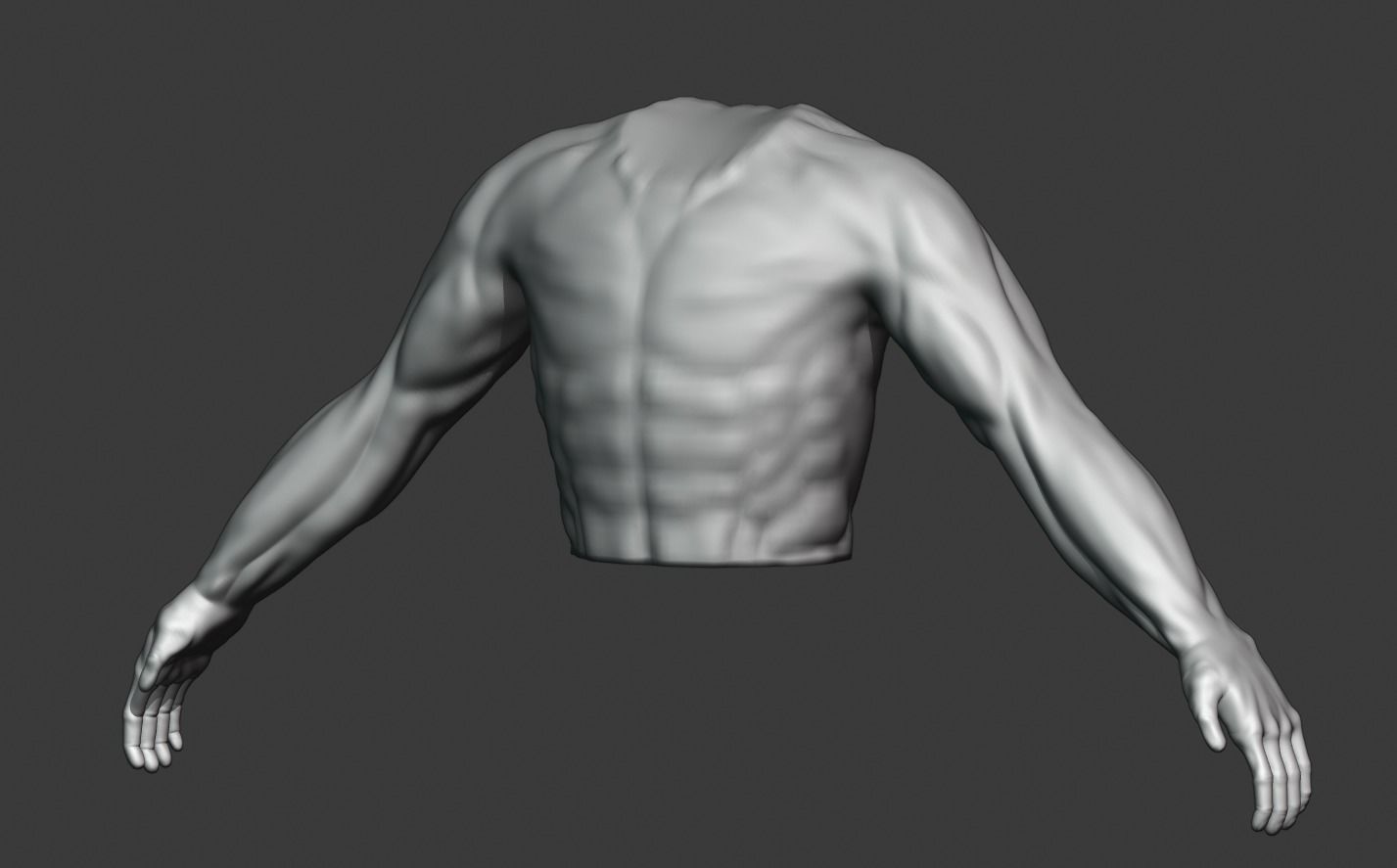 Man Torso - High Mid Low Poly Package Free 3D model_16