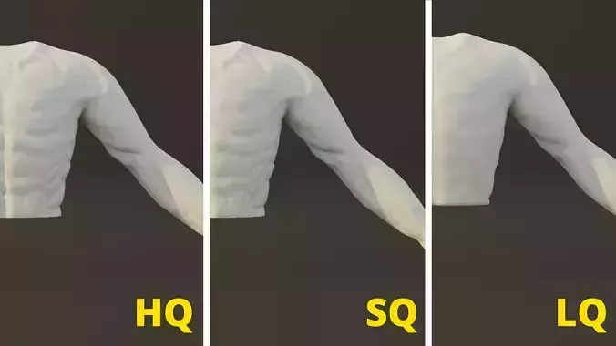 Man Torso - High Mid Low Poly Package Free 3D model
