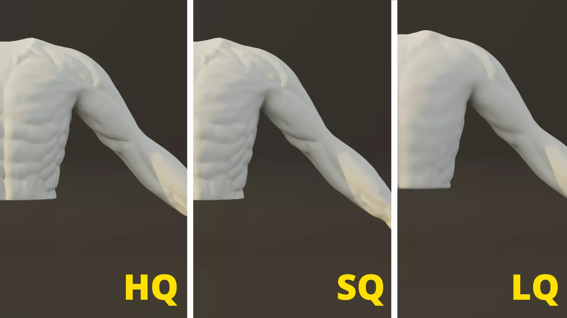 Man Torso - High Mid Low Poly Package Free 3D model_0