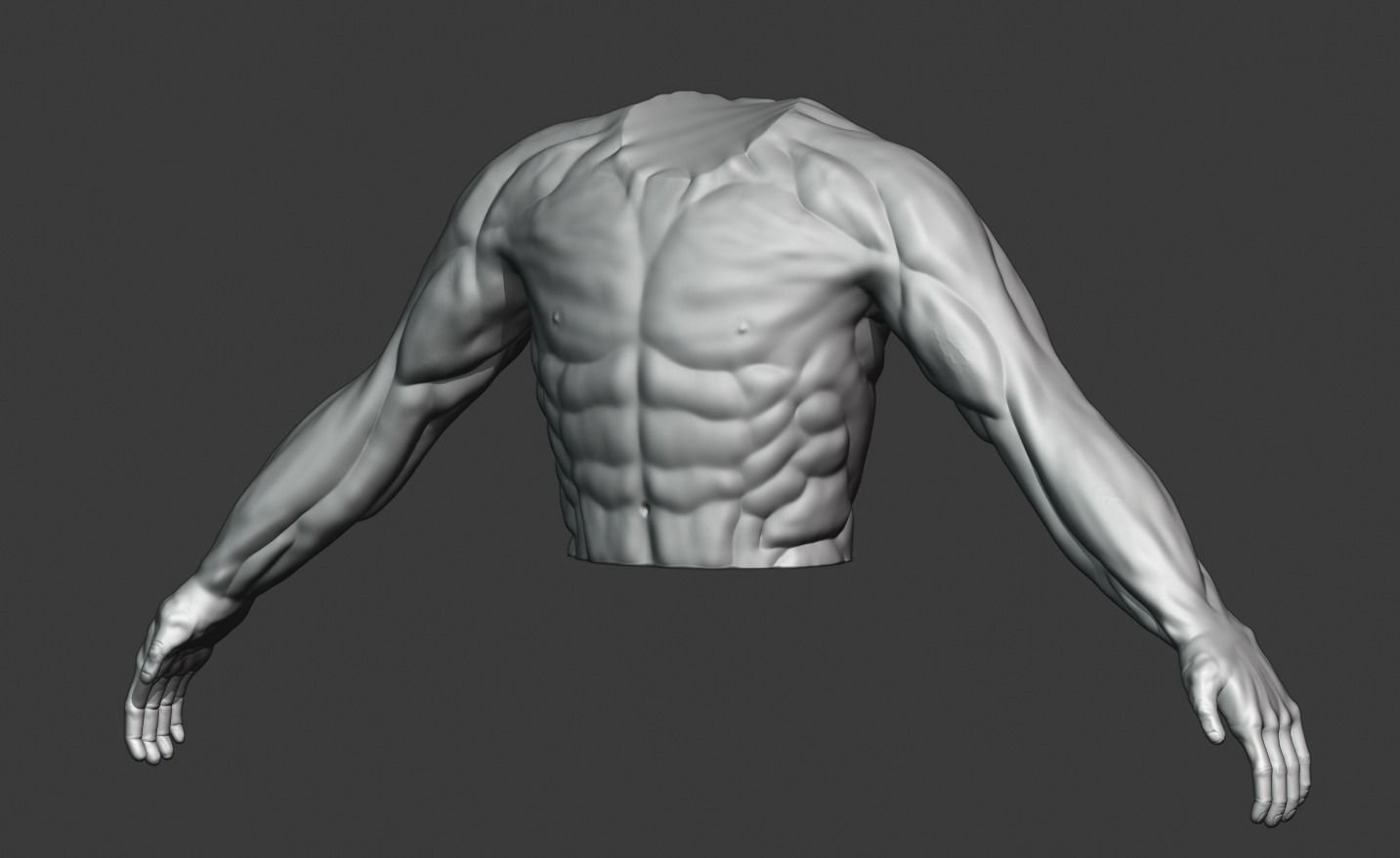 Man Torso - High Mid Low Poly Package Free 3D model_9
