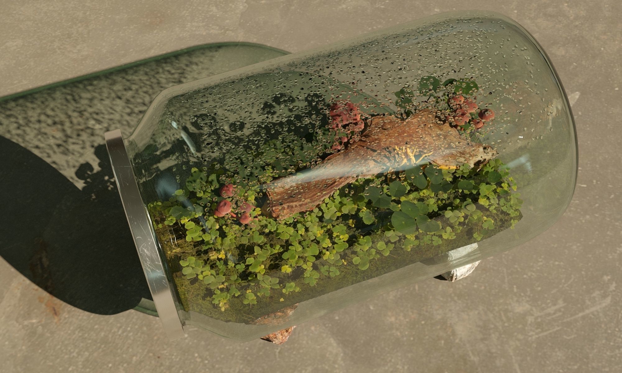 Terrarium in a jar 3D model_0