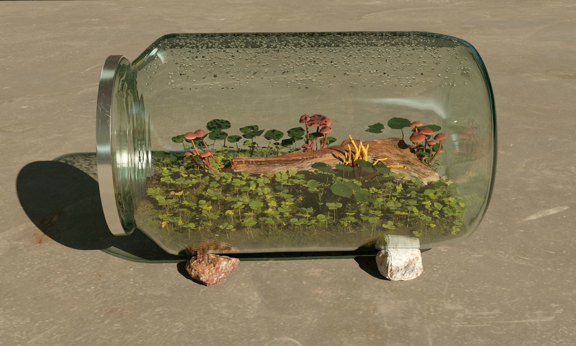 Terrarium in a jar 3D model_1