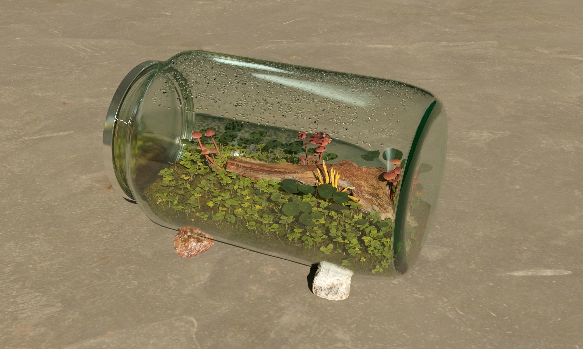 Terrarium in a jar 3D model_3