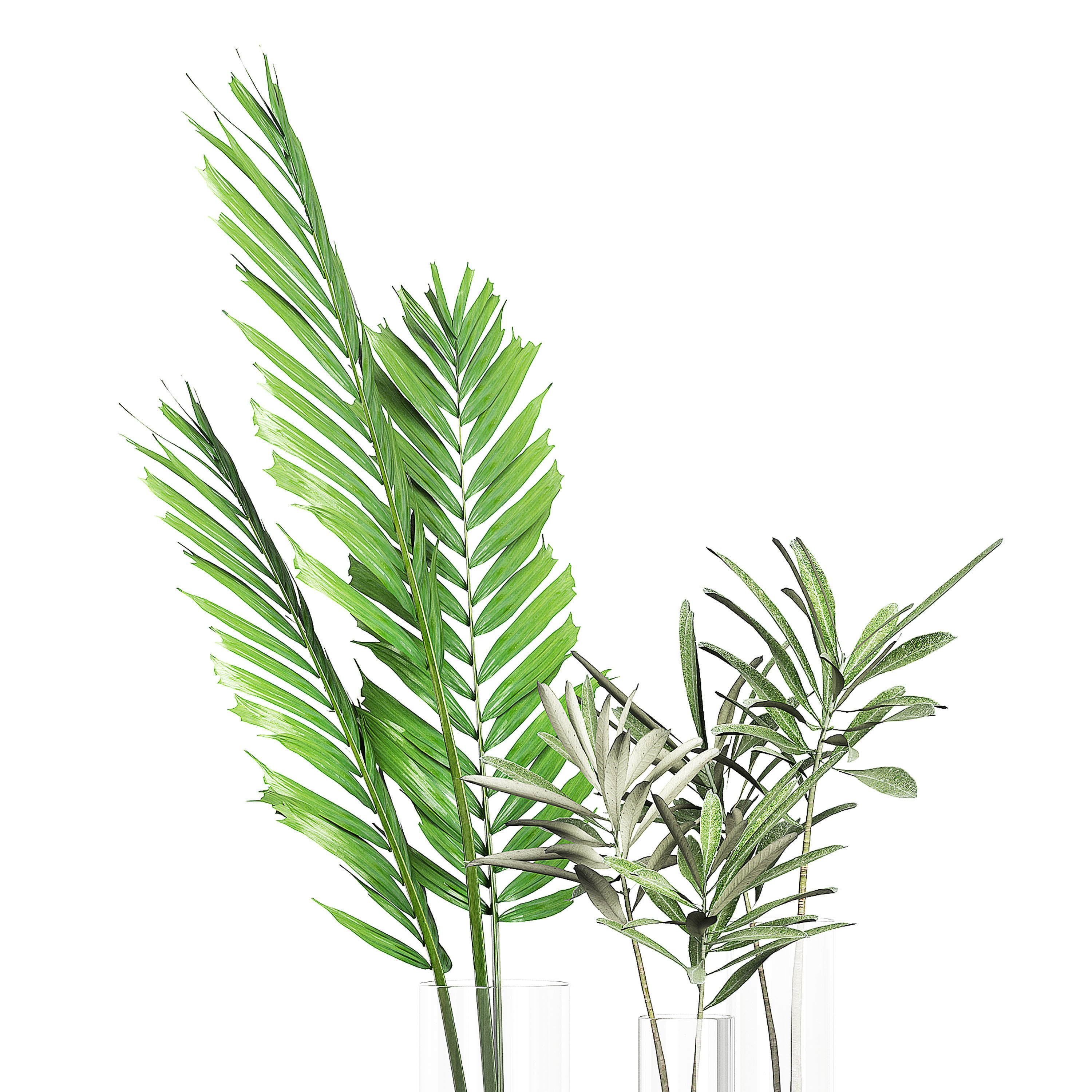 Flower Pack 76 3D model_1