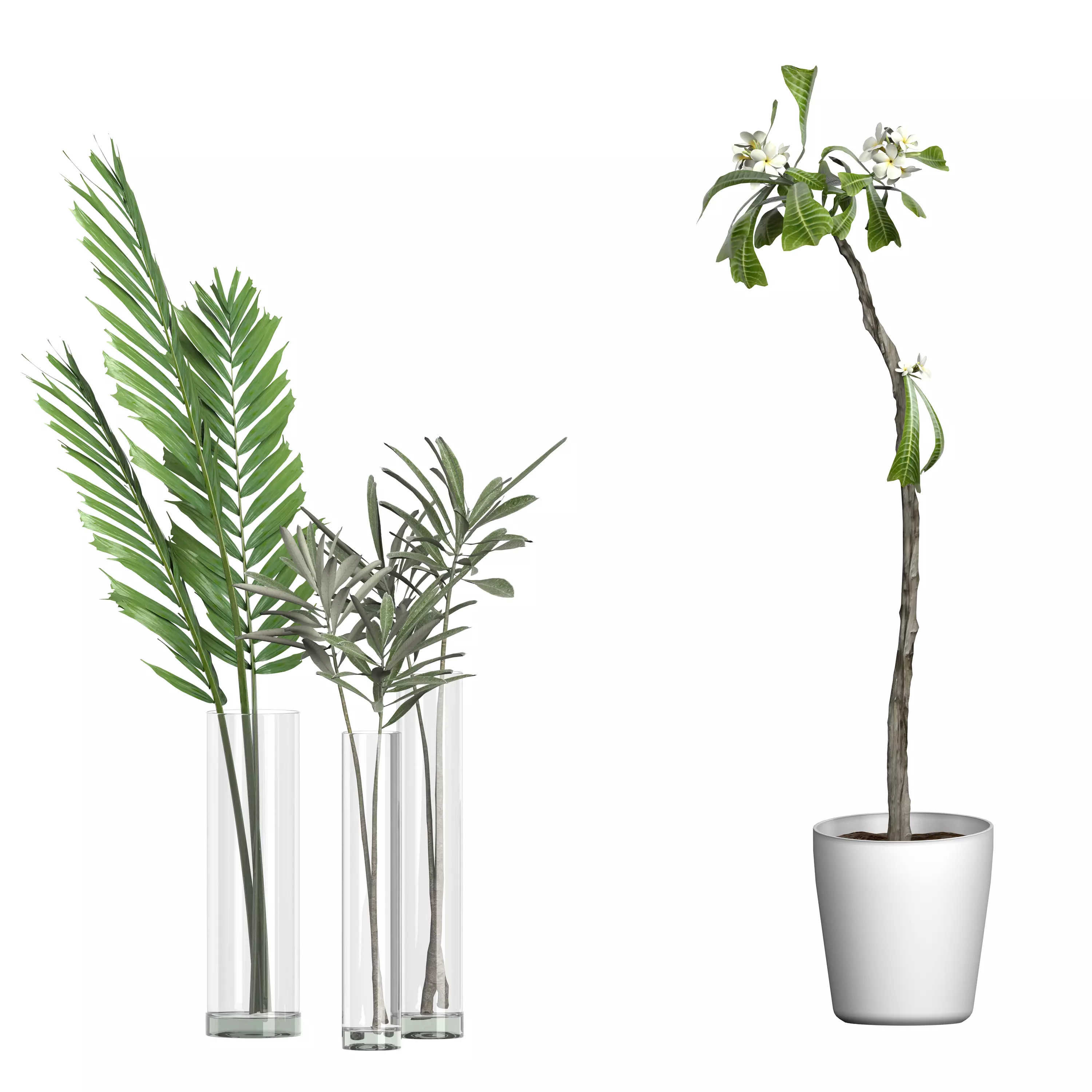 Flower Pack 76 3D model_0