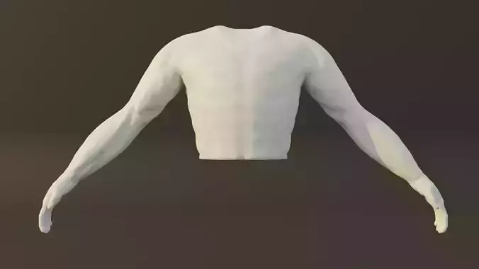 Man Torso - Low Poly Model