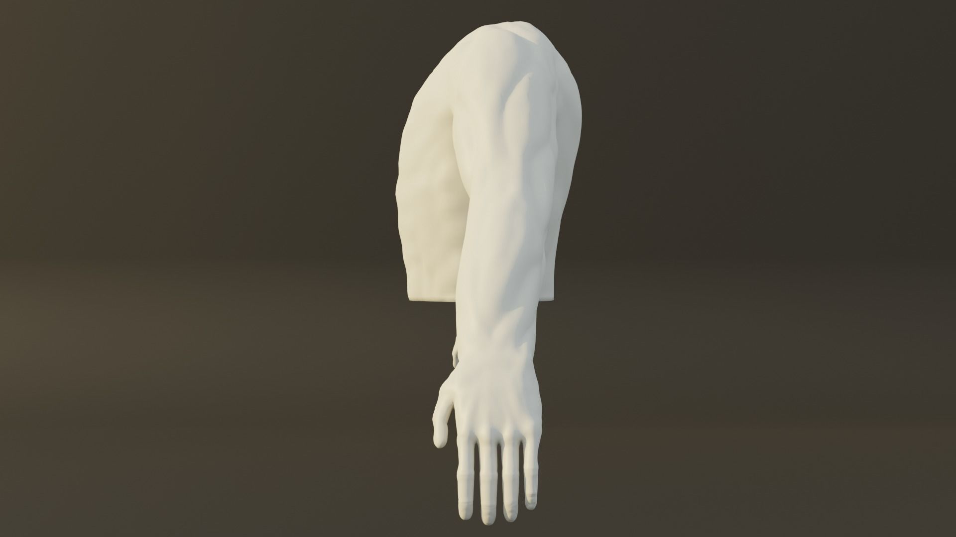 Man Torso - Low Poly Model Free 3D model_3