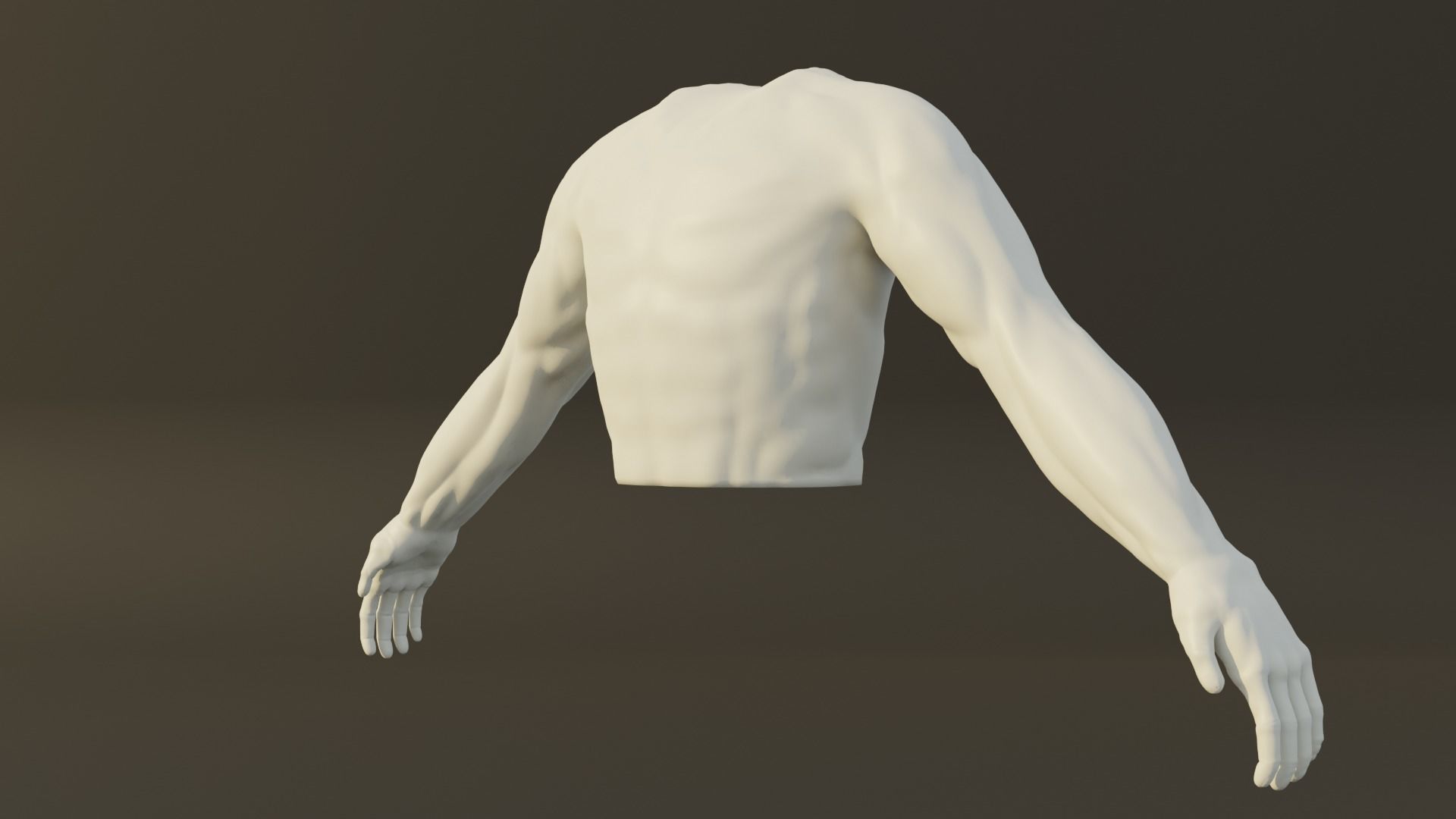 Man Torso - Low Poly Model Free 3D model_4