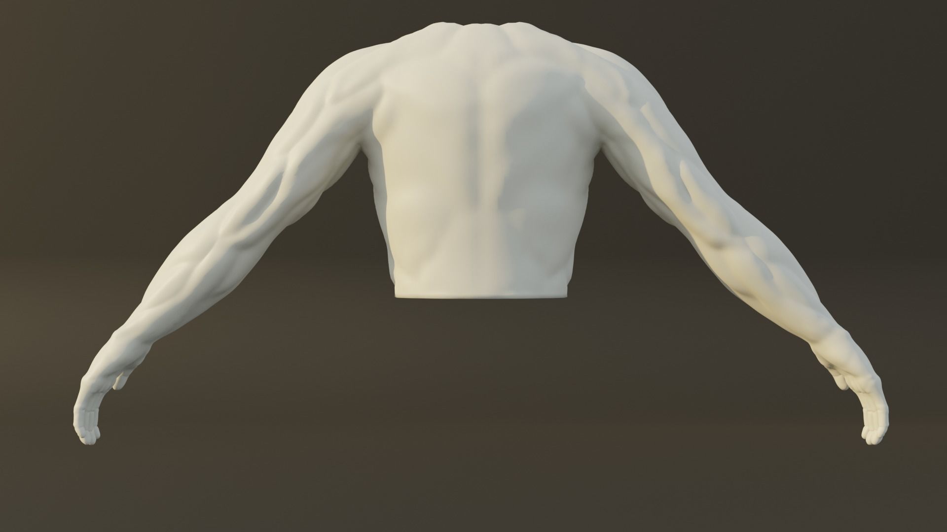 Man Torso - Low Poly Model Free 3D model_5