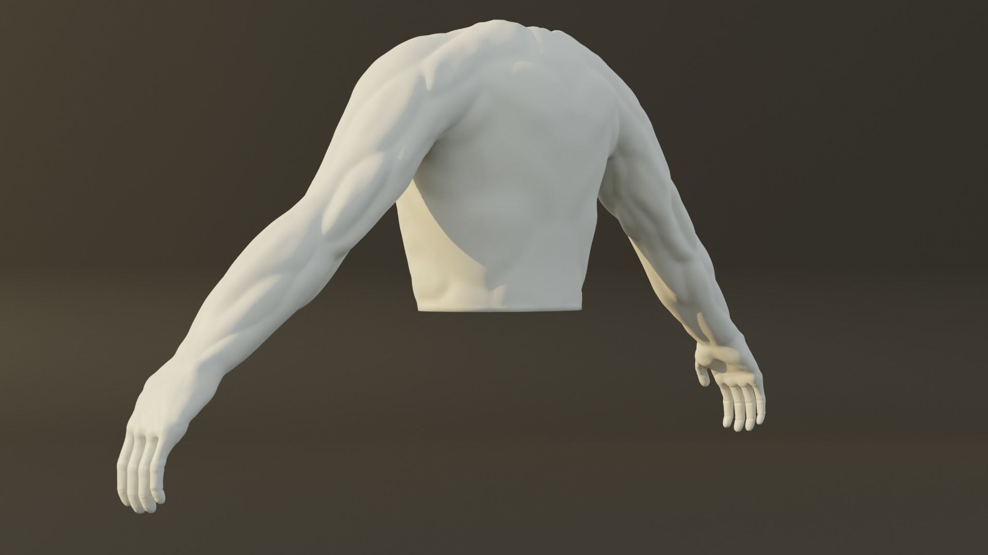 Man Torso - Low Poly Model Free 3D model_6