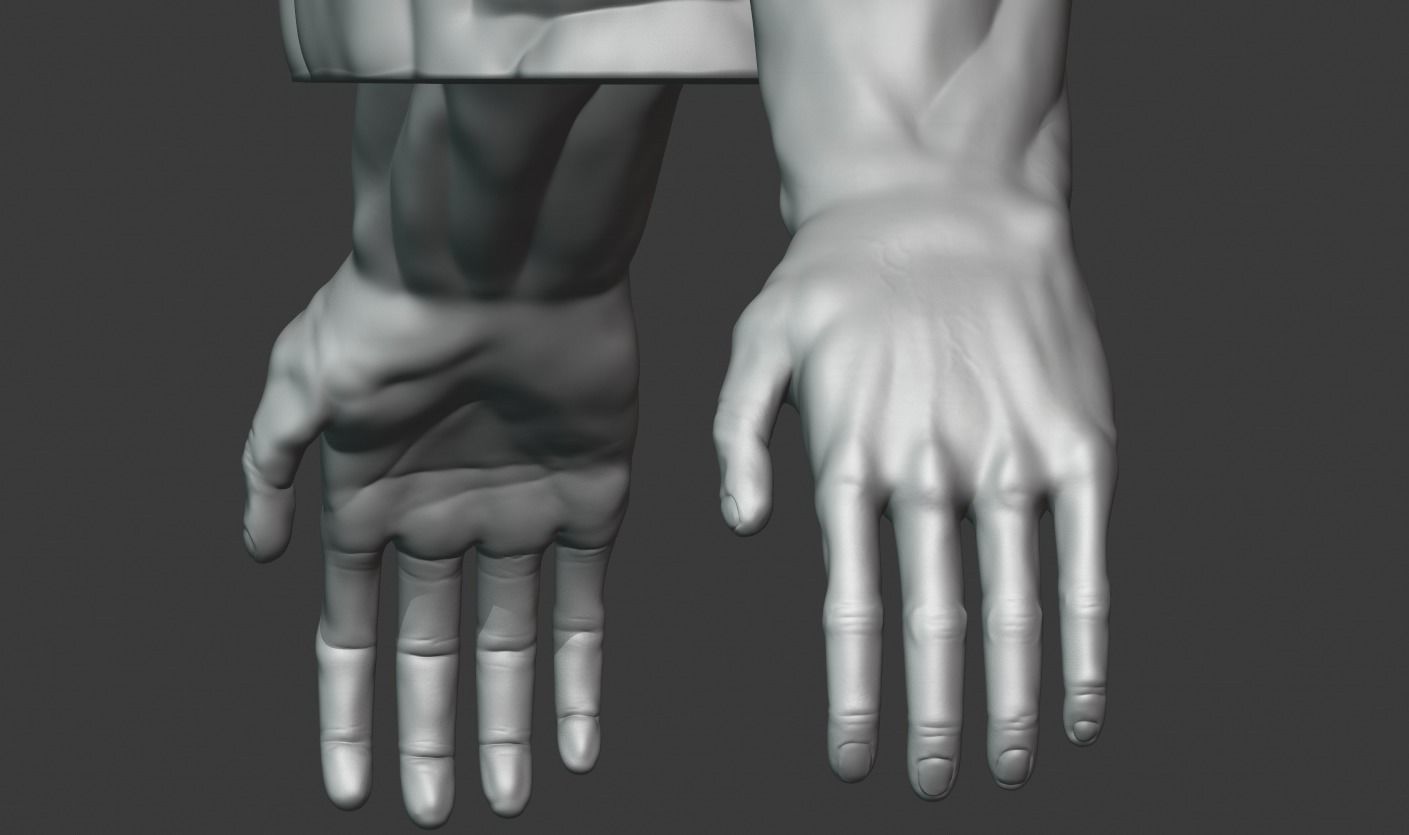 Man Torso - Standard Quality Polygon Model Free 3D model_2