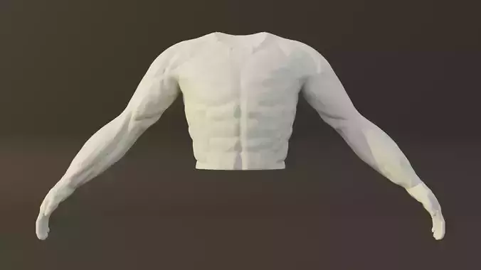 Man Torso - Standard Quality Polygon Model