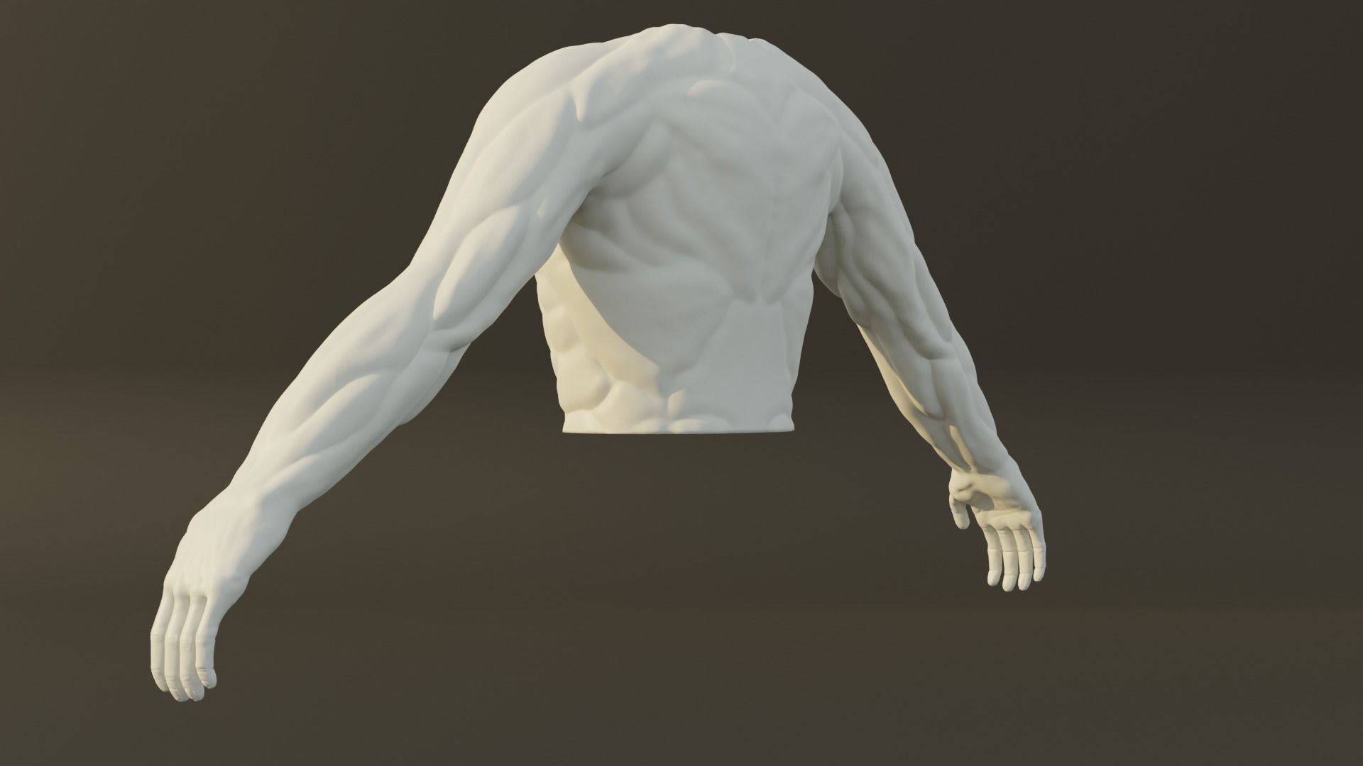 Man Torso - Standard Quality Polygon Model Free 3D model_5