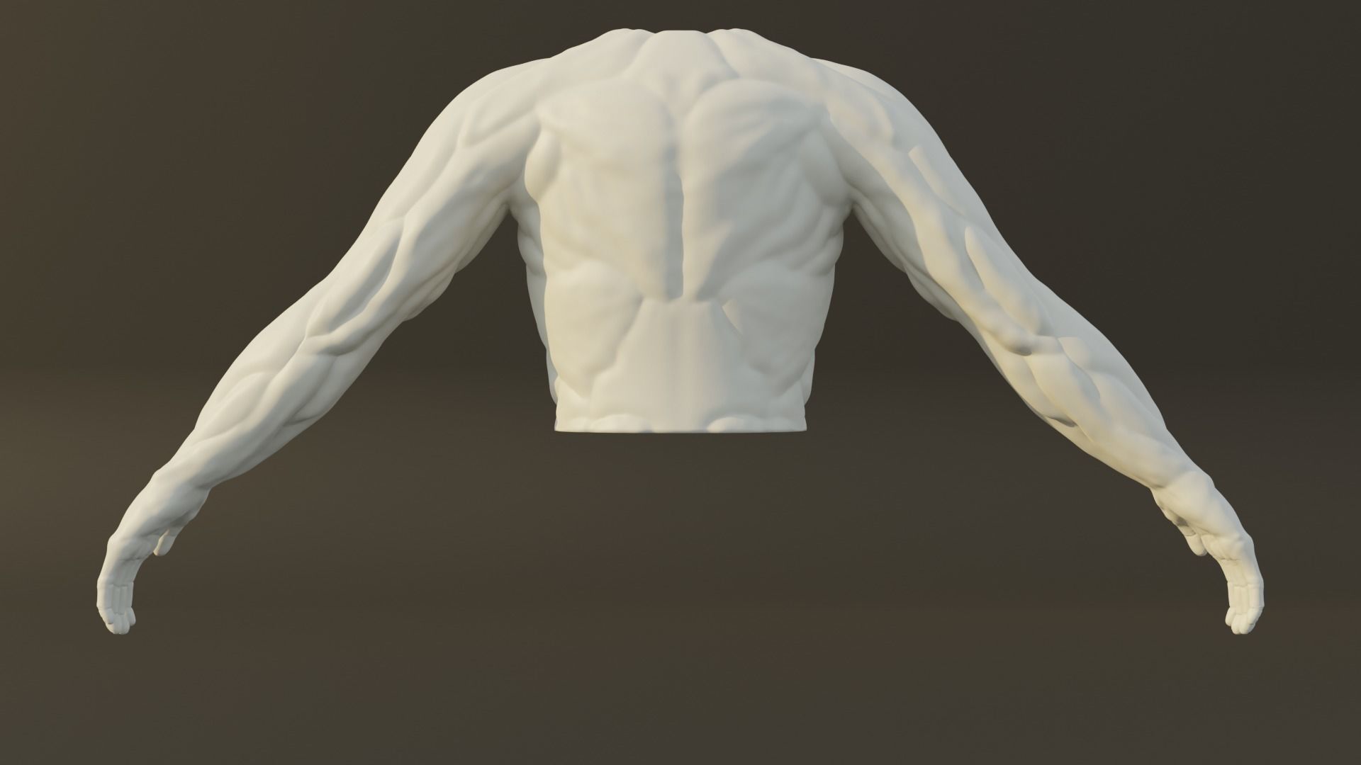 Man Torso - Standard Quality Polygon Model Free 3D model_6