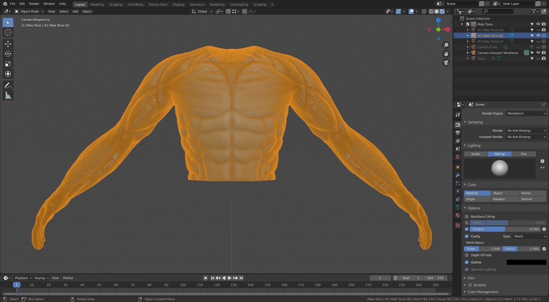 Man Torso - Standard Quality Polygon Model Free 3D model_7