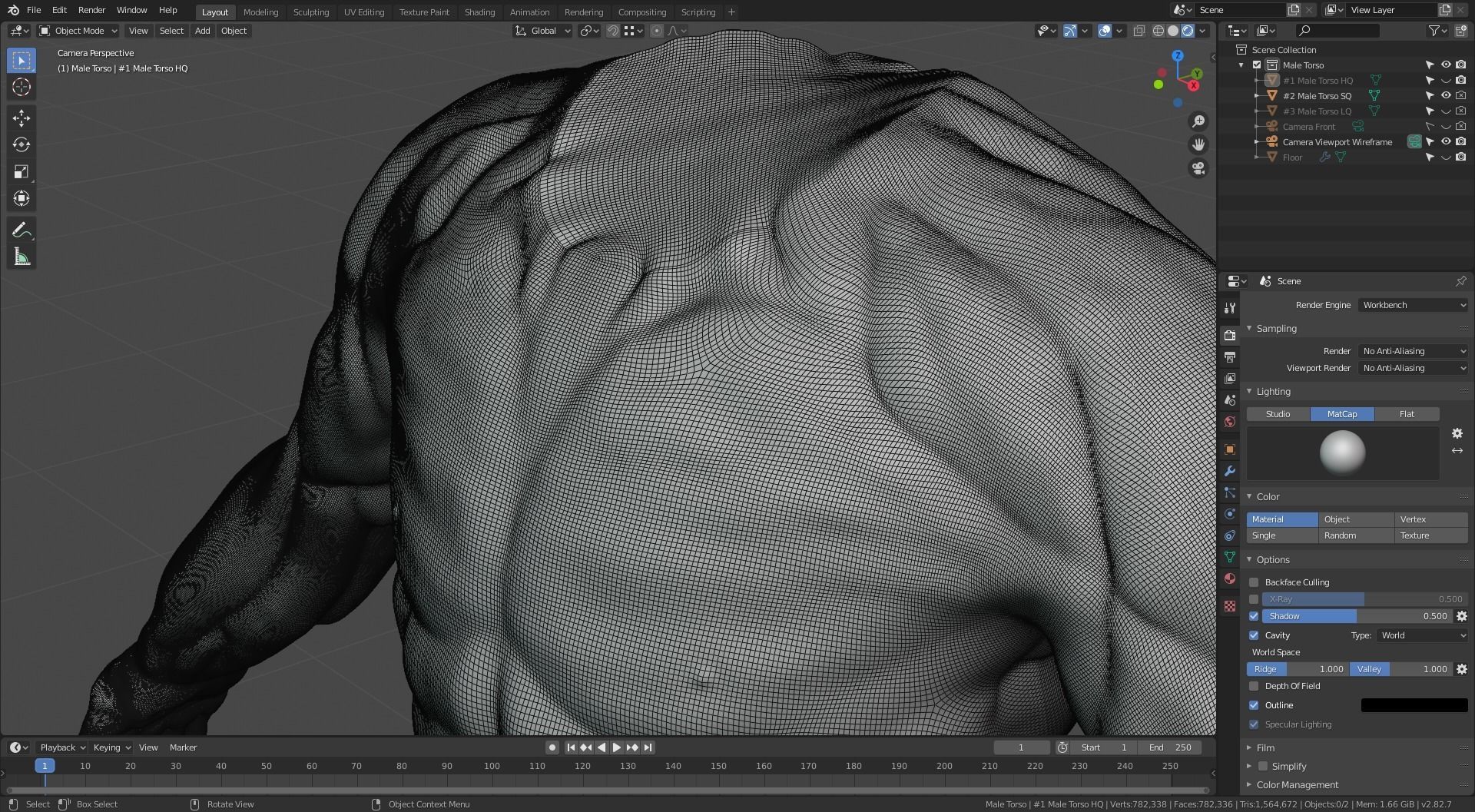 Man Torso - Standard Quality Polygon Model Free 3D model_8
