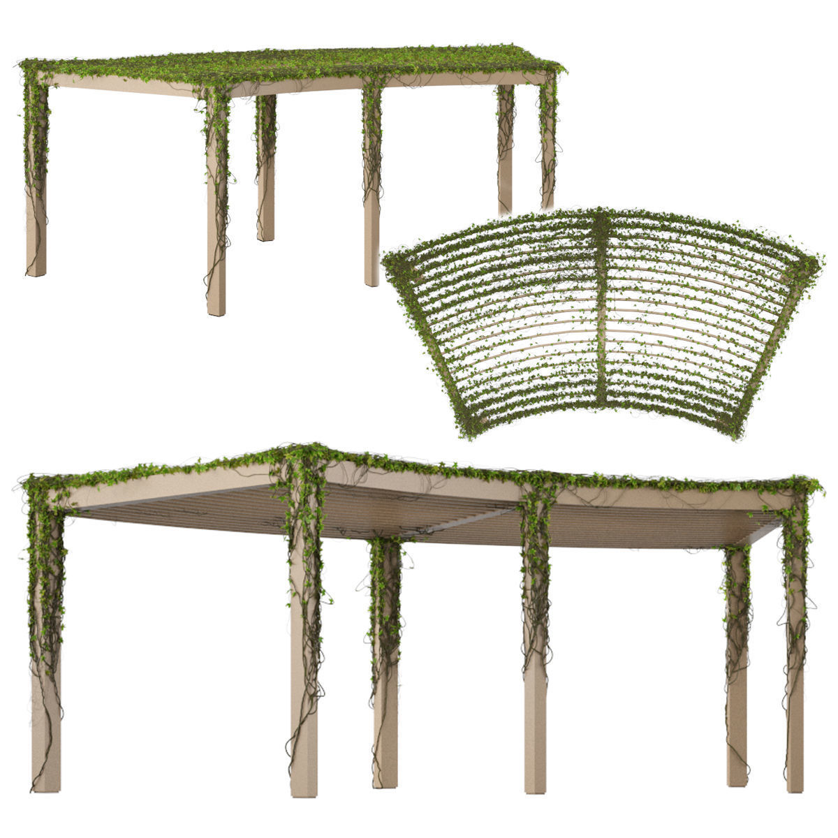 Pergola with Ivy v3