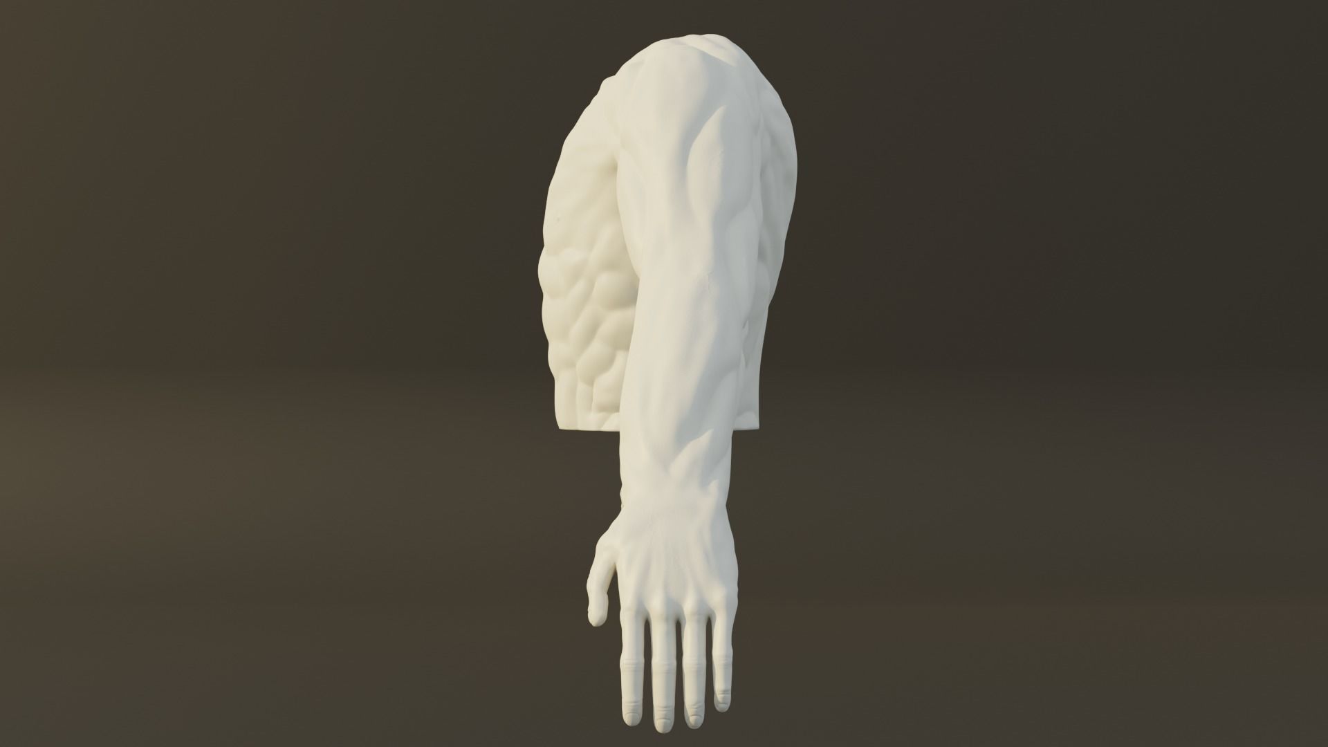 Man Torso - High Polygon Model 3D model_4