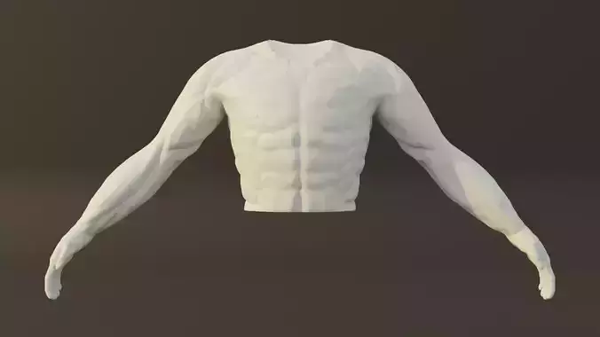 Man Torso - High Polygon Model
