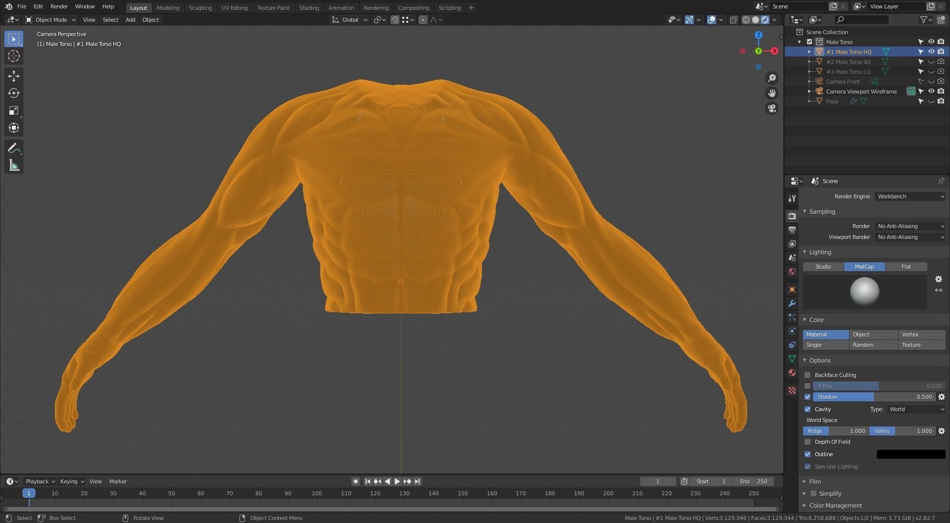 Man Torso - High Polygon Model 3D model_7