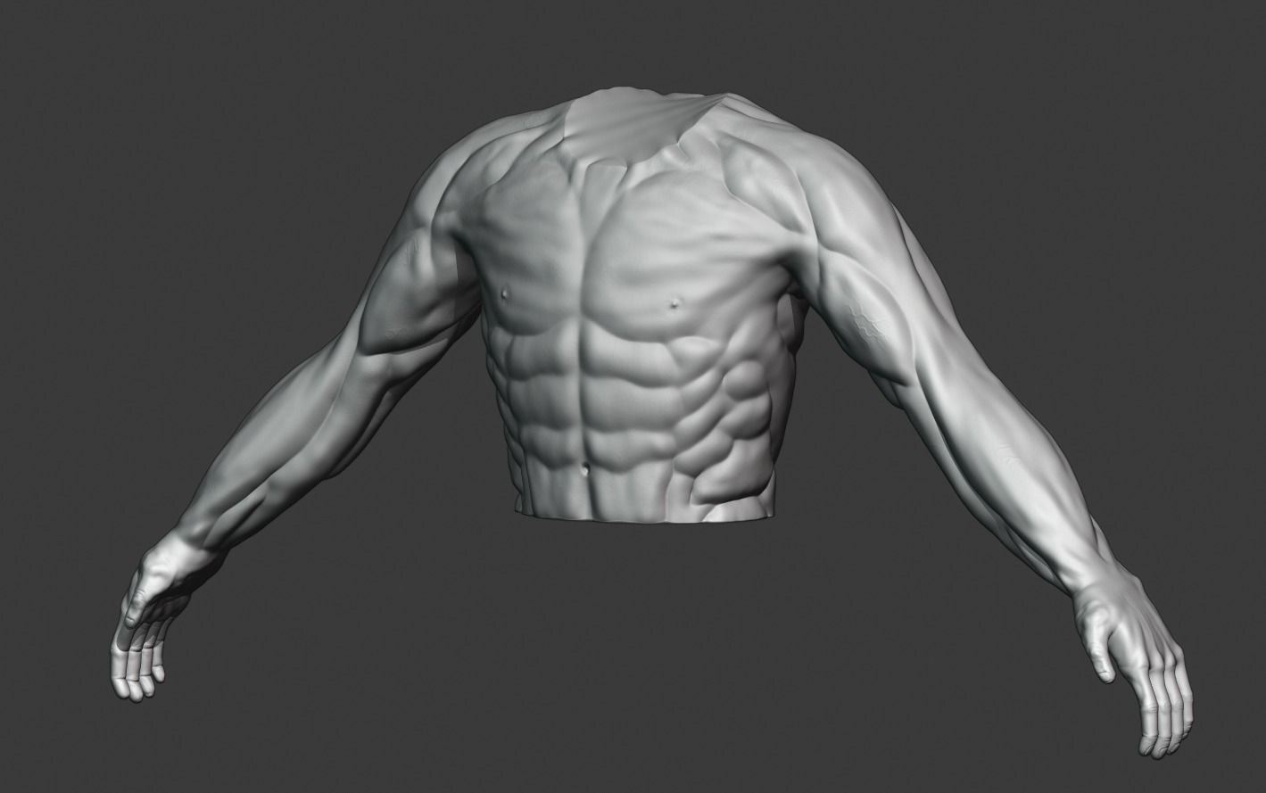 Man Torso - High Polygon Model 3D model_1
