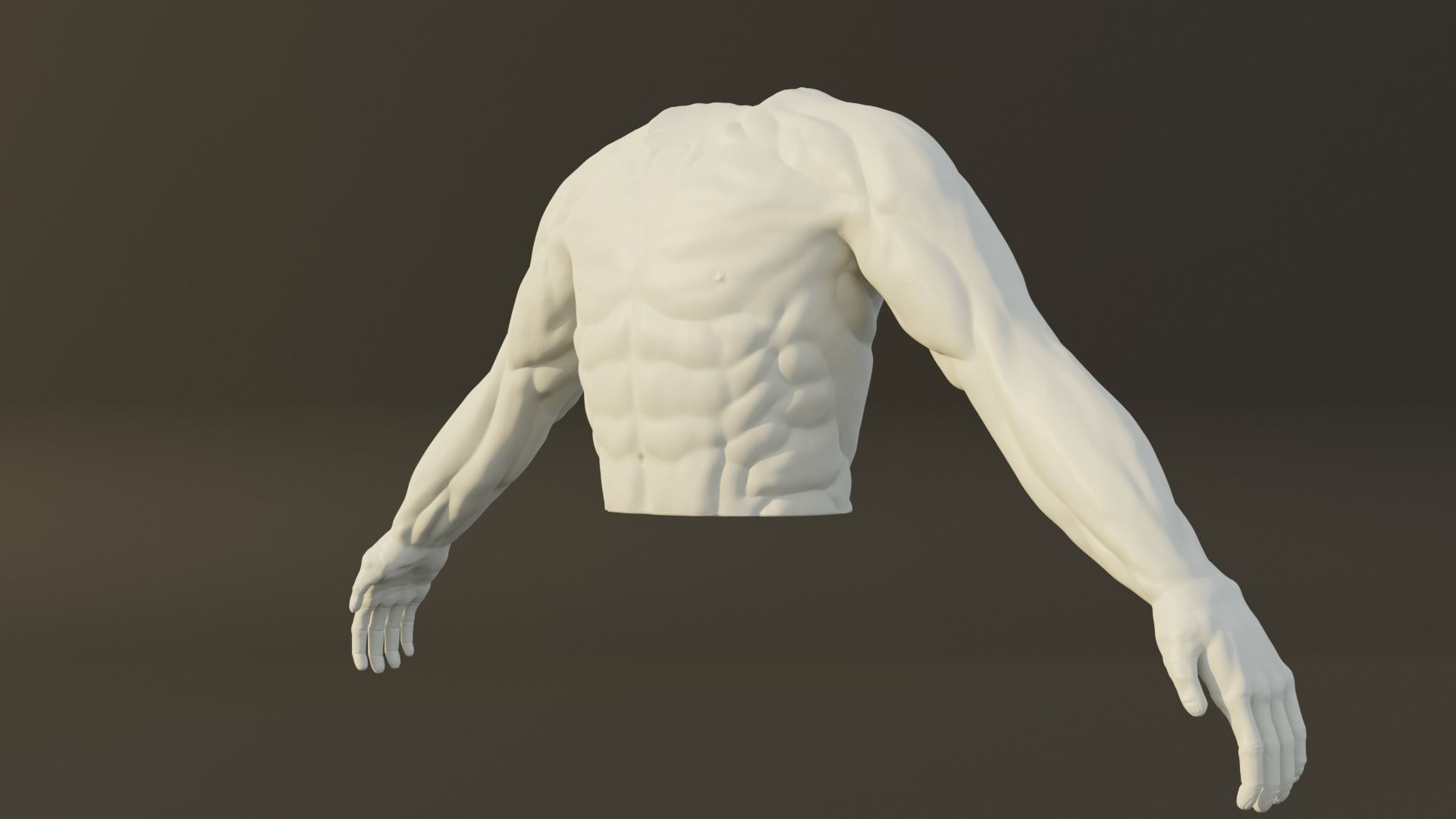 Man Torso - High Polygon Model 3D model_3