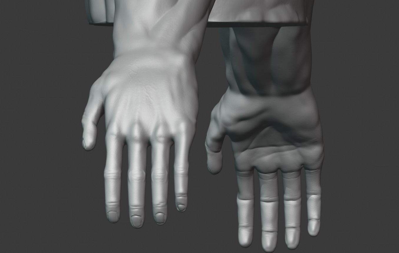 Man Torso - High Polygon Model 3D model_2