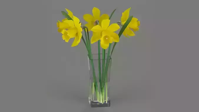 Yellow daffodils in a glass vase