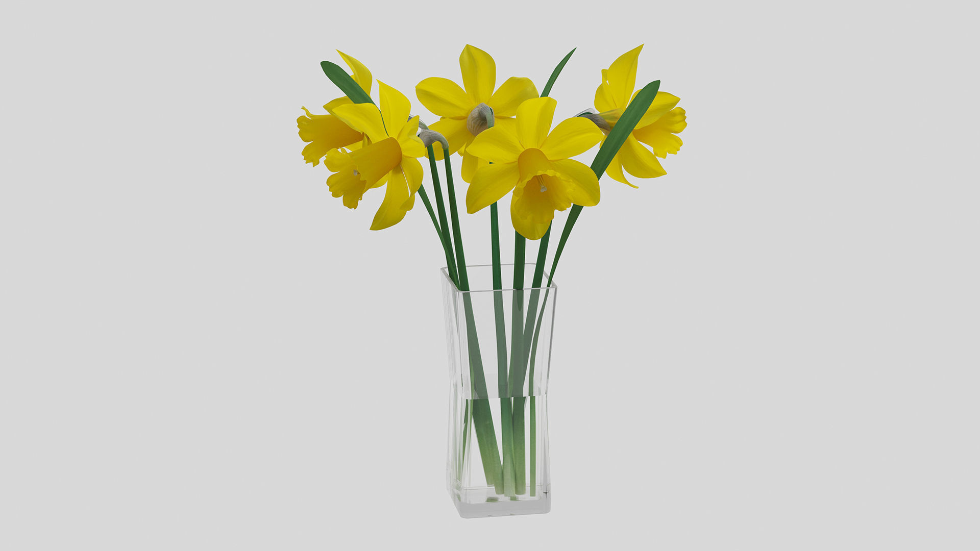 Yellow daffodils in a glass vase 3D model_5