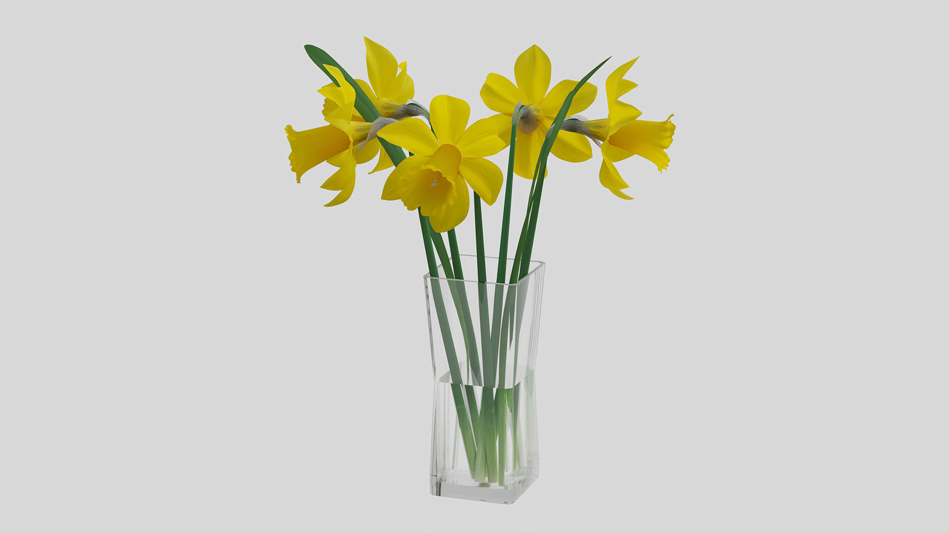 Yellow daffodils in a glass vase 3D model_3