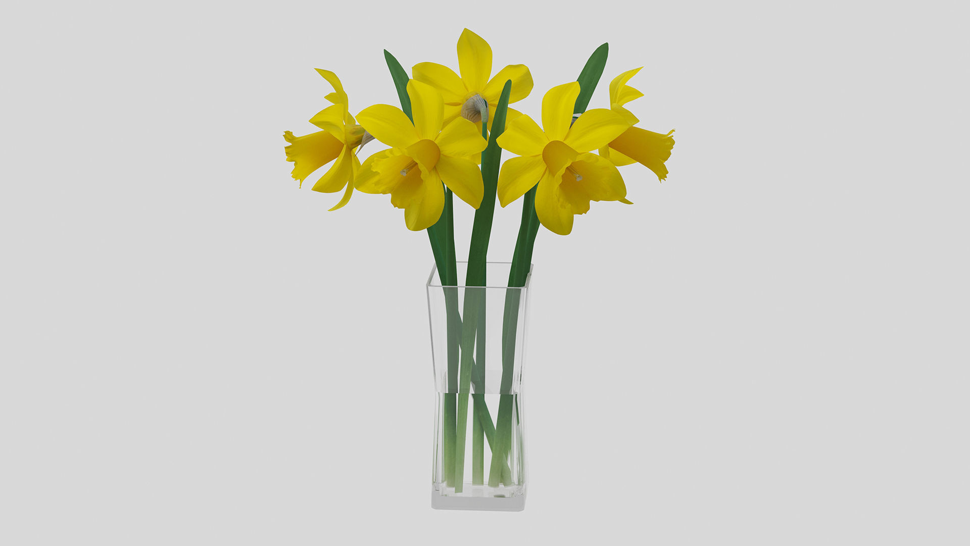 Yellow daffodils in a glass vase 3D model_4