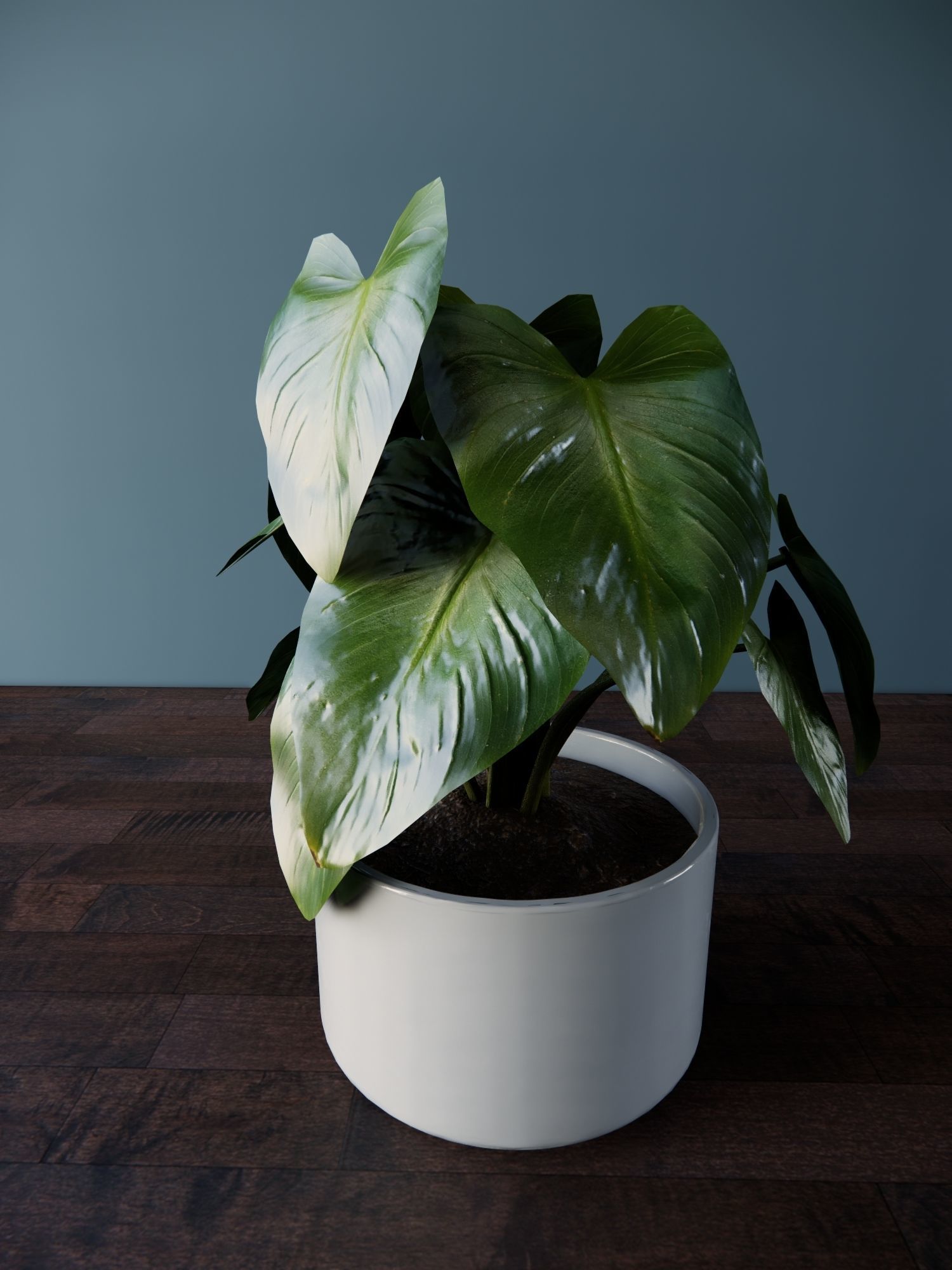 Revit Family plant - four sizes- High quality 3D model 3D model_7