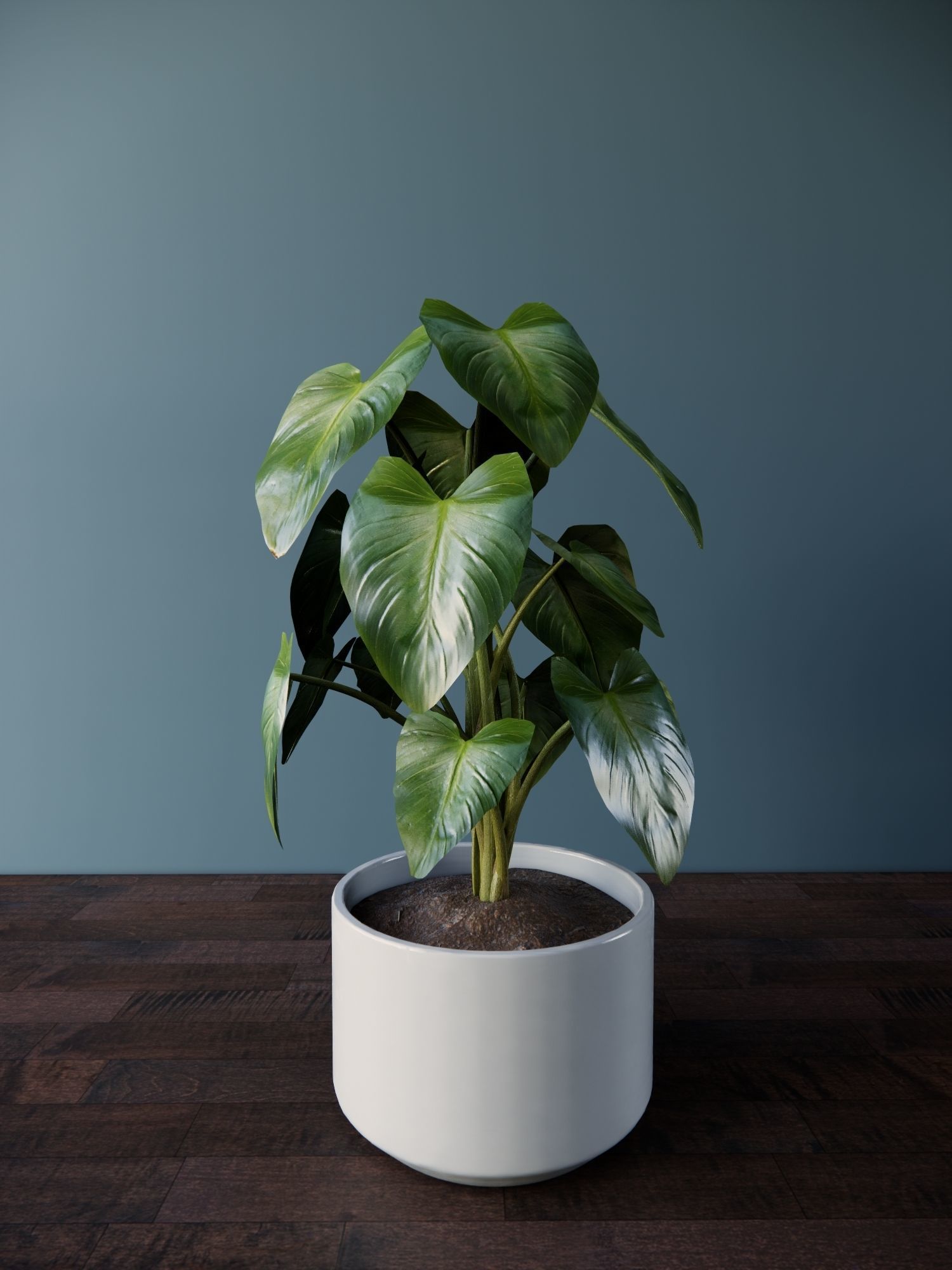 Revit Family plant - four sizes- High quality 3D model 3D model_4