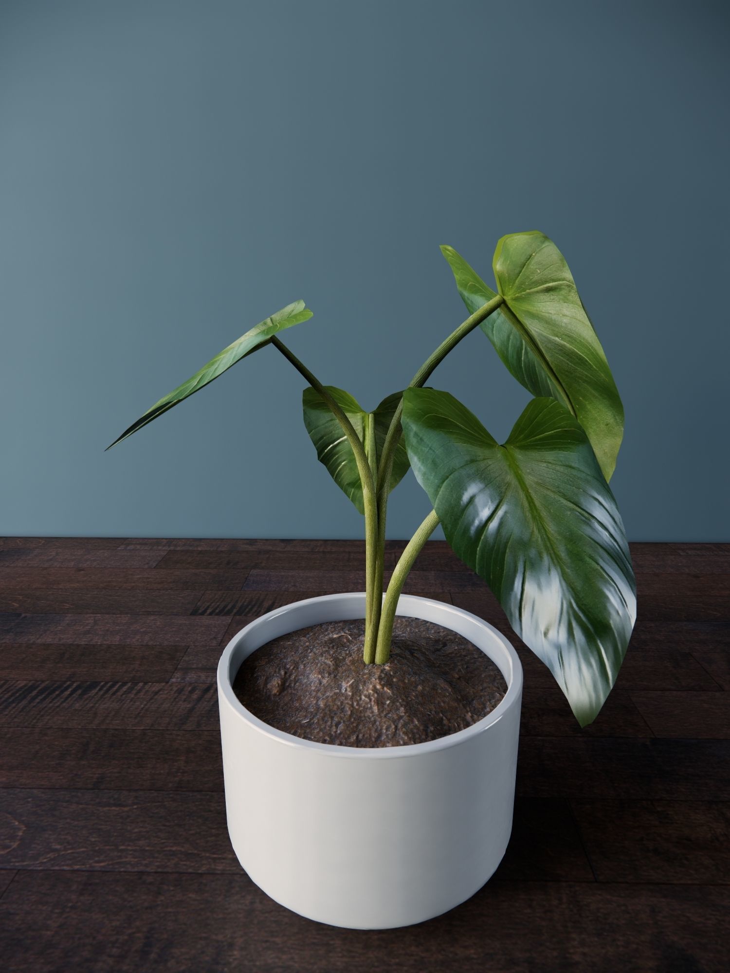 Revit Family plant - four sizes- High quality 3D model 3D model_11