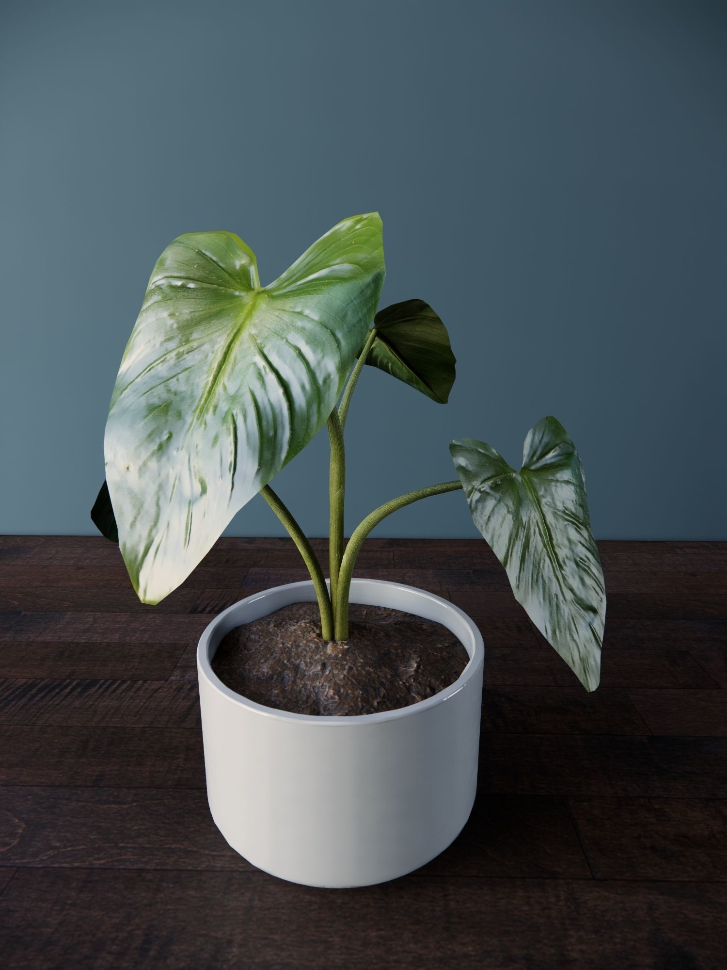 Revit Family plant - four sizes- High quality 3D model 3D model_29