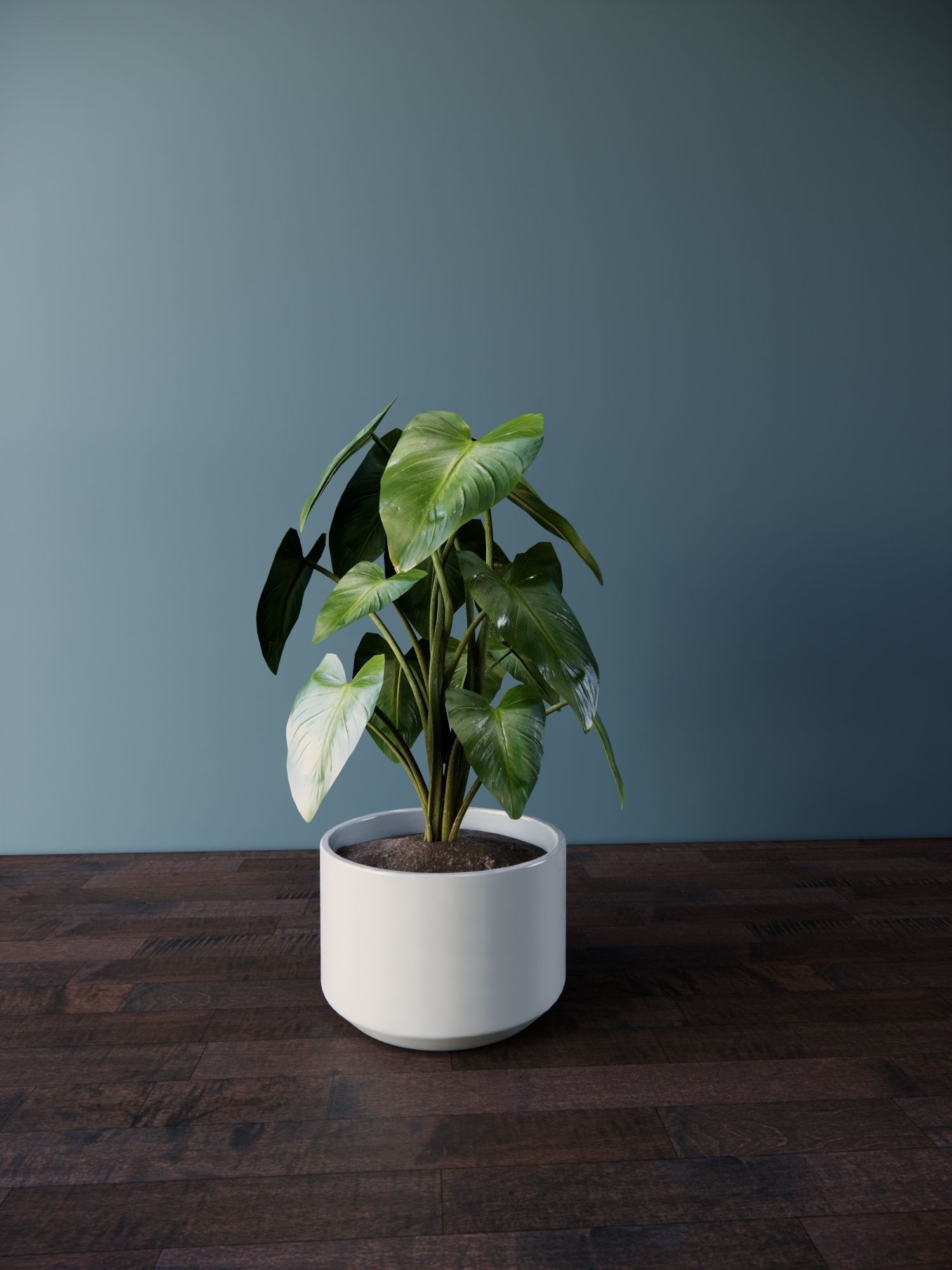 Revit Family plant - four sizes- High quality 3D model 3D model_3