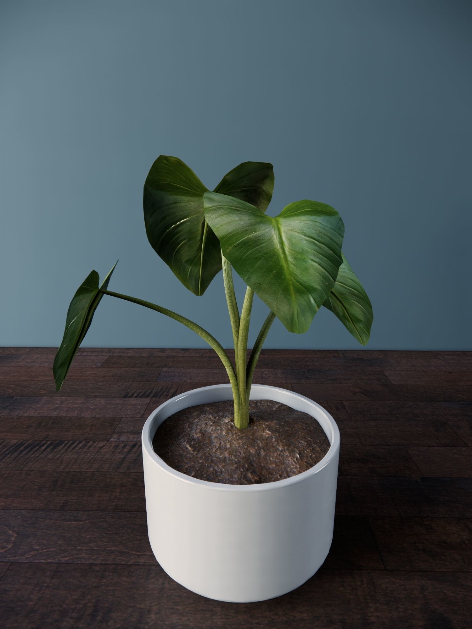 Revit Family plant - four sizes- High quality 3D model 3D model_28