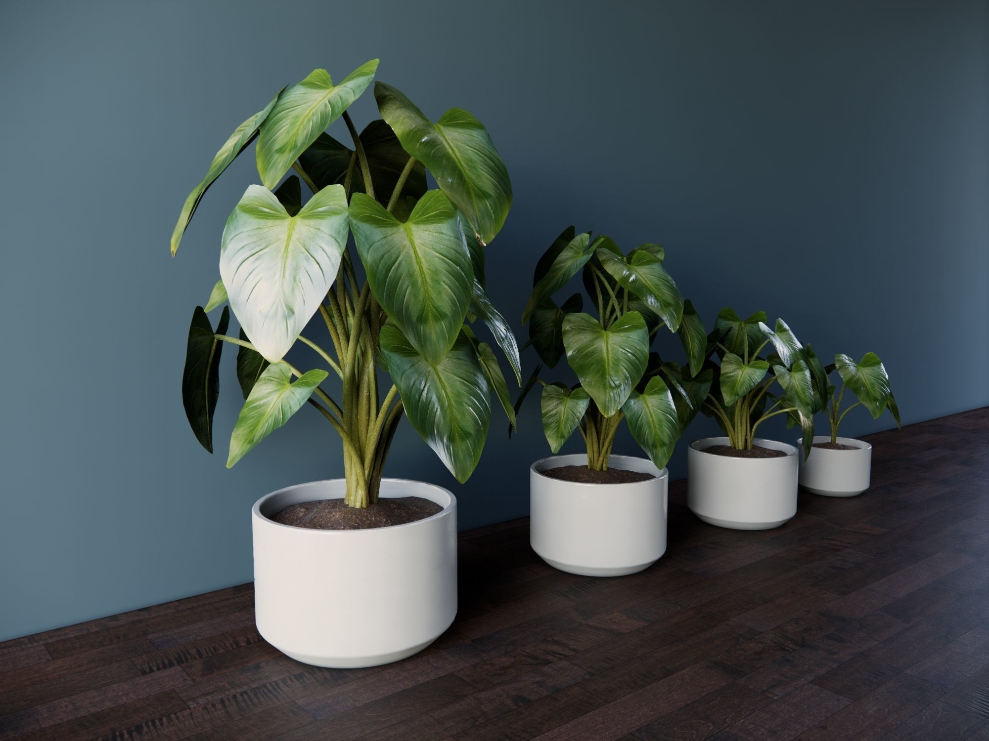 Revit Family plant - four sizes- High quality 3D model 3D model_31