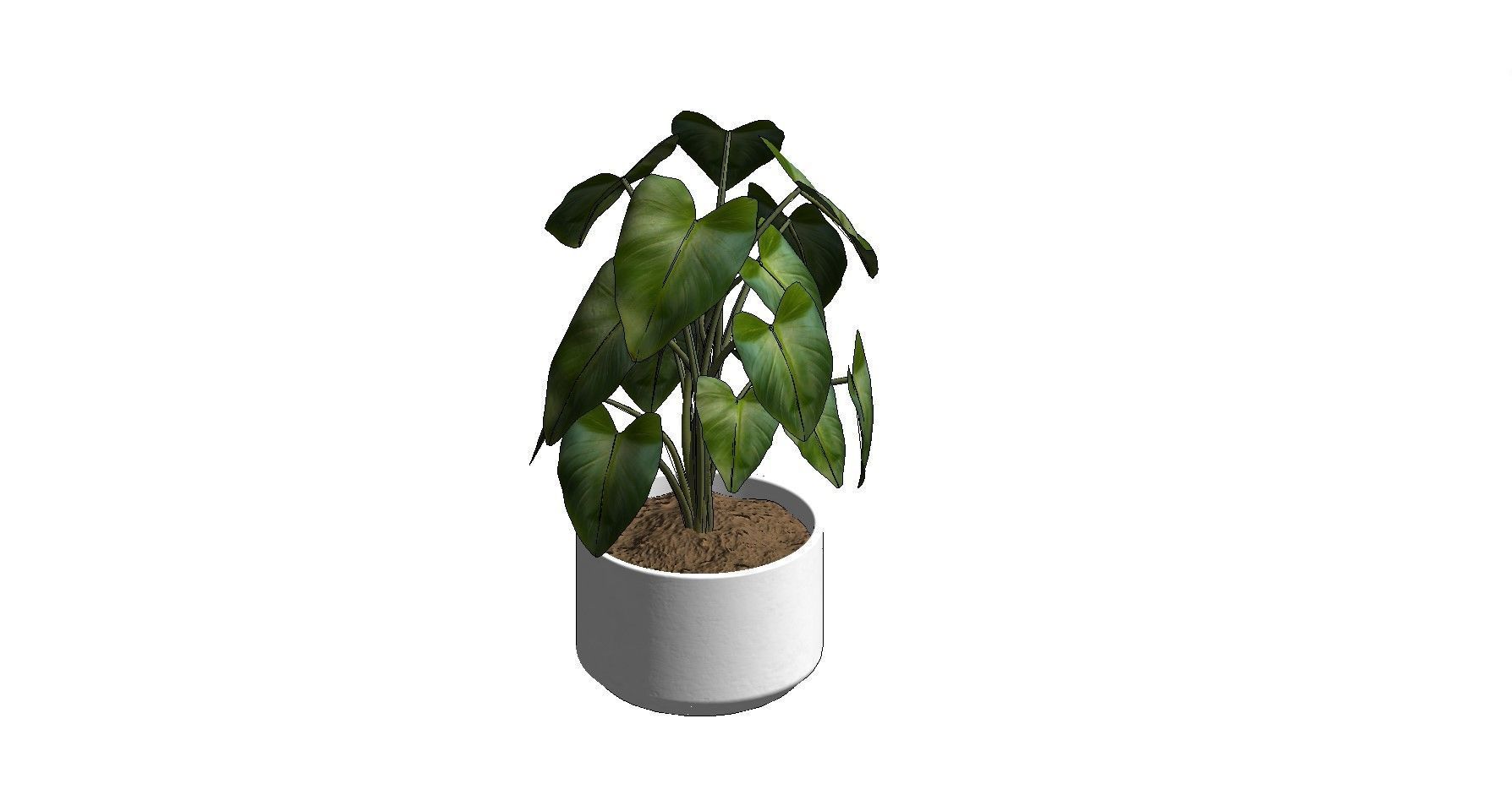 Revit Family plant - four sizes- High quality 3D model 3D model_23