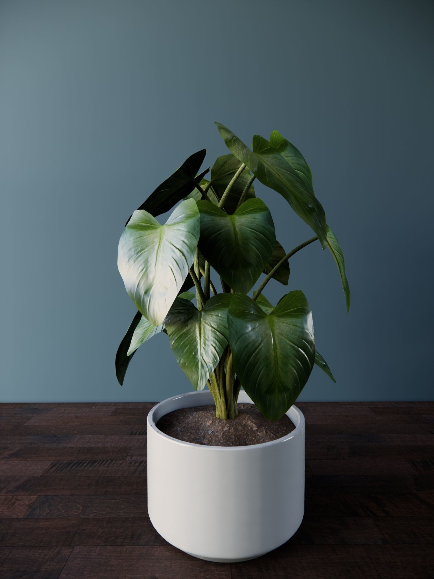 Revit Family plant - four sizes- High quality 3D model 3D model_5