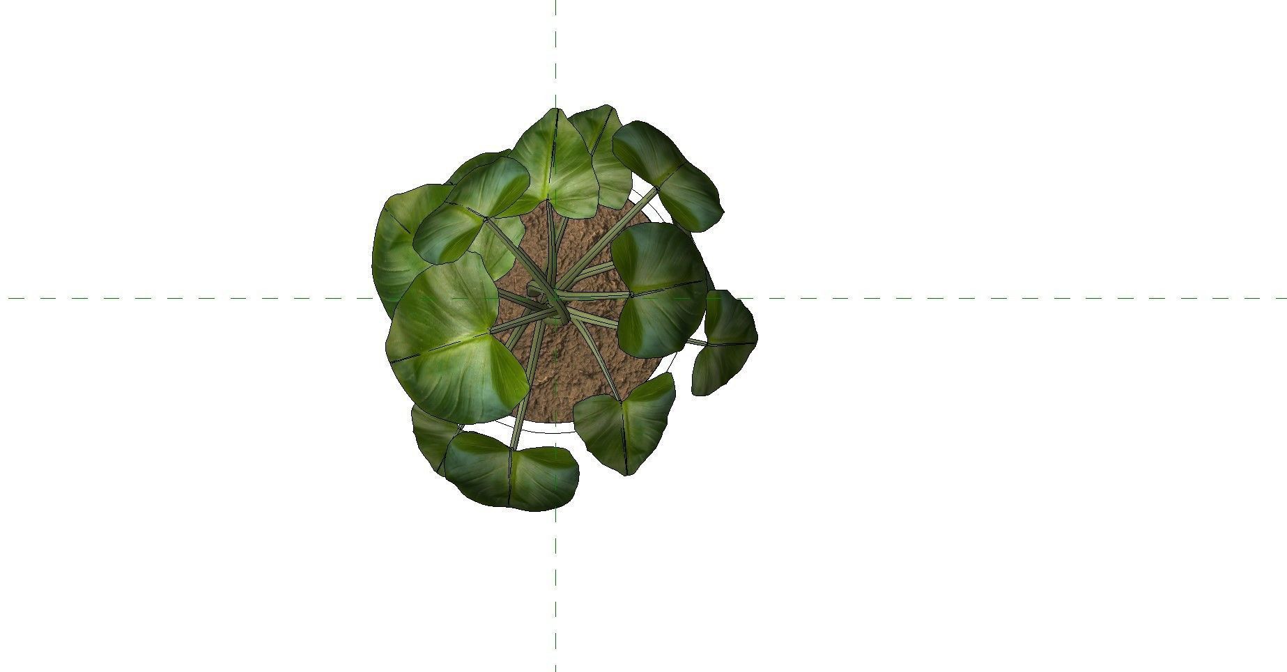 Revit Family plant - four sizes- High quality 3D model 3D model_20