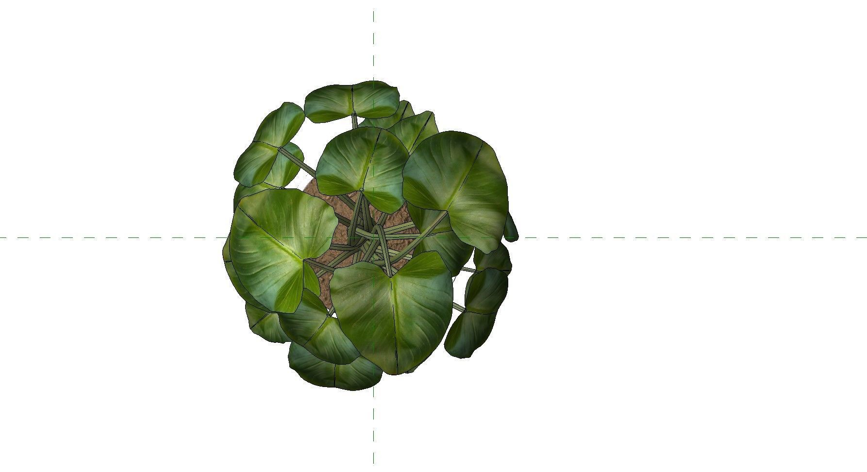 Revit Family plant - four sizes- High quality 3D model 3D model_35