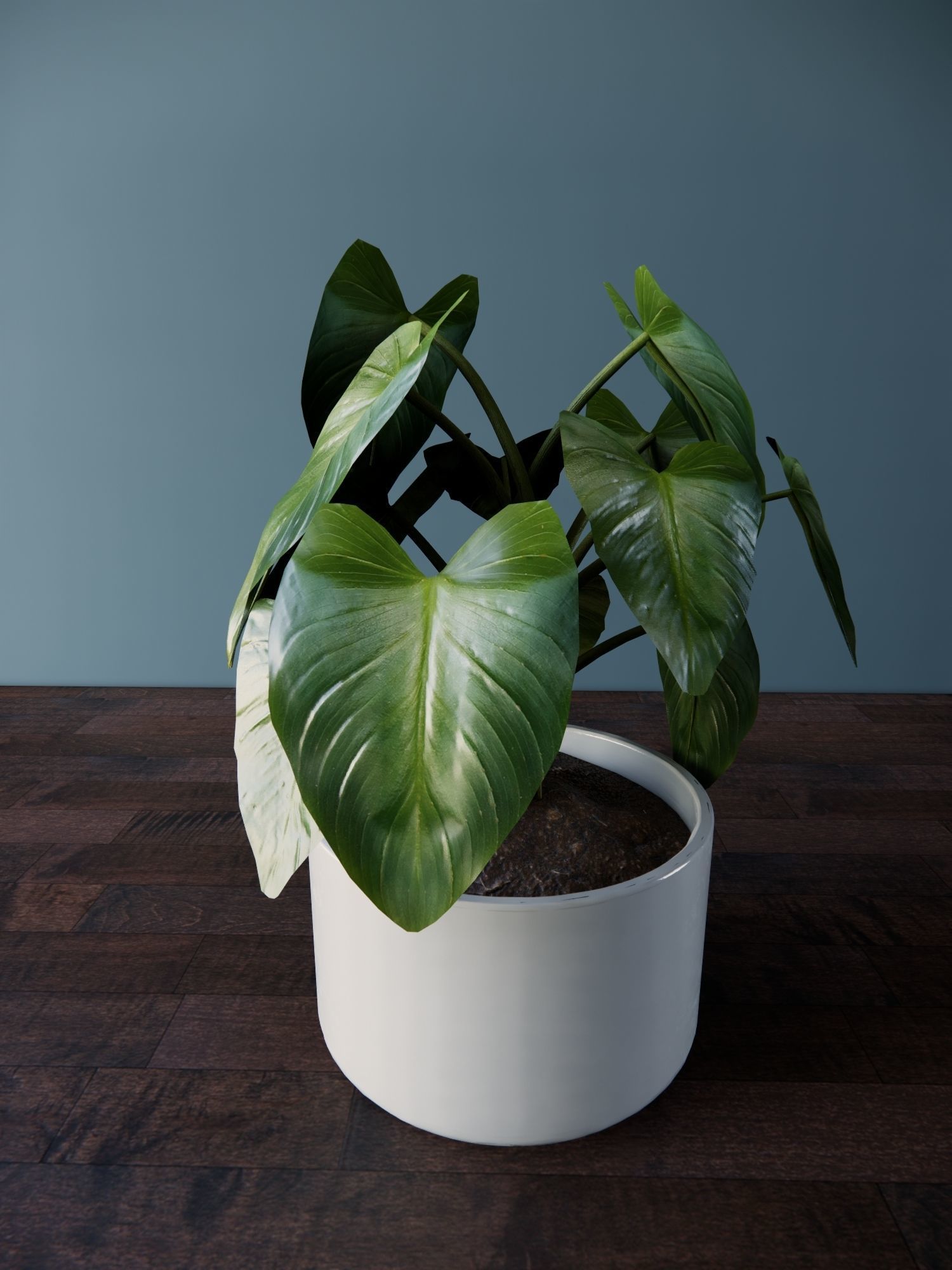 Revit Family plant - four sizes- High quality 3D model 3D model_6