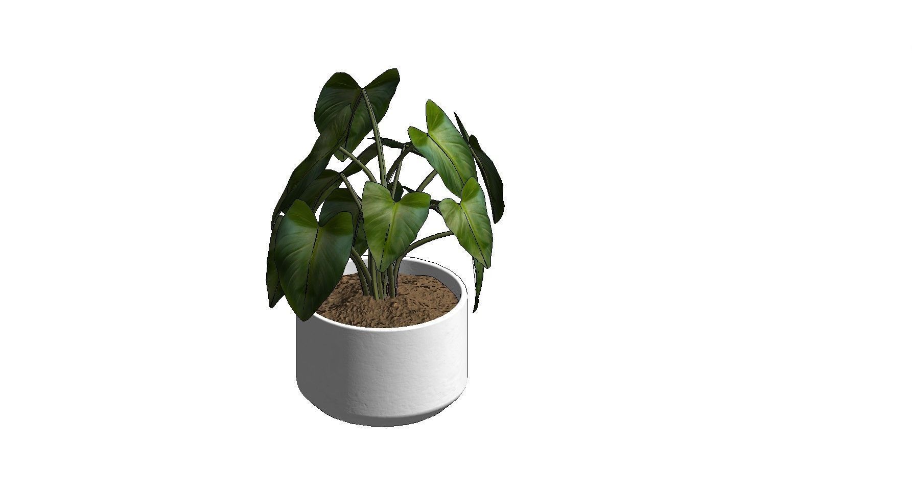 Revit Family plant - four sizes- High quality 3D model 3D model_19