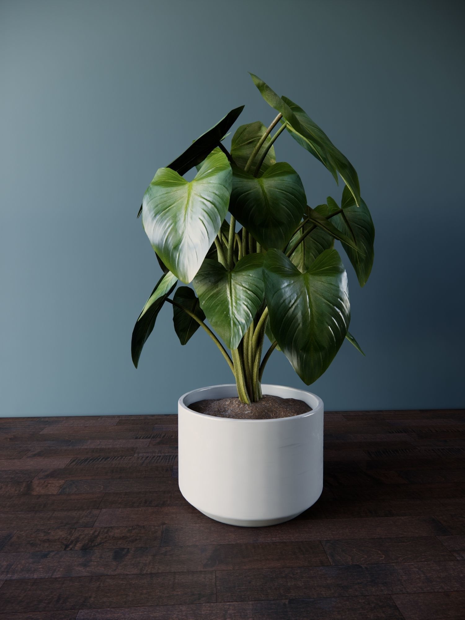 Revit Family plant - four sizes- High quality 3D model 3D model_2